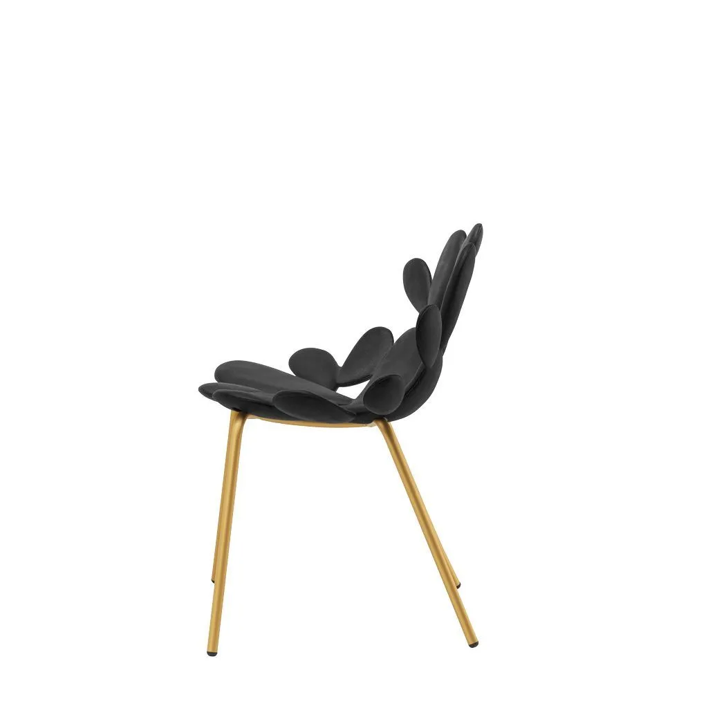 Qeeboo Filicudi Chair Filicudi Armchair By Marcantonio Set Of 2, Black/Brass