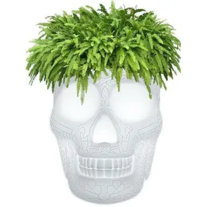 Qeeboo Mexico Planter And Champagne Cooler Floor Lamp
