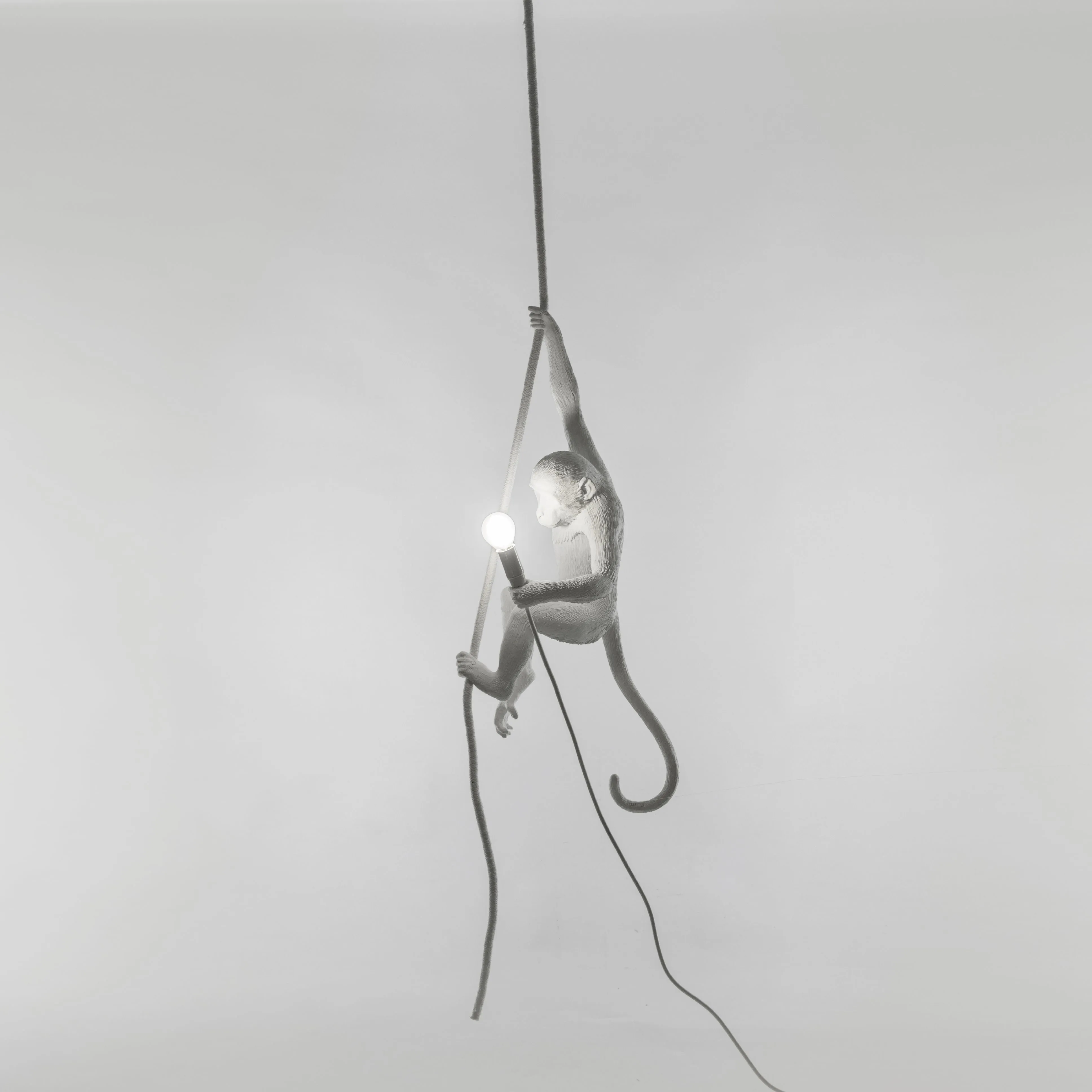 Seletti Monkey Indoor Lamp White, With Rope